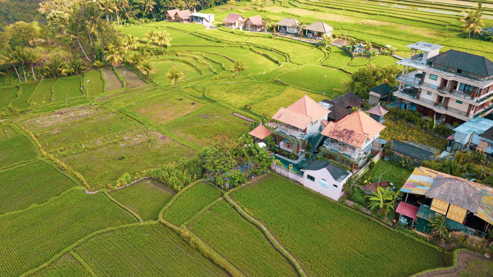 Raditya Villa Ubud Exteriör bild